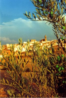 Vista de Porcuna desde los Alcores.