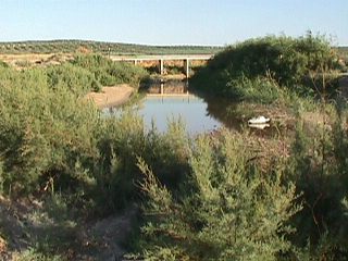 Rio Salado a su paso por Pescolar (julio, 2001)