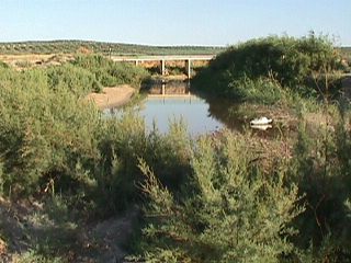 Rio Salado a su paso por Pescolar (julio, 2001)