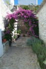 Patio de la Madreselva